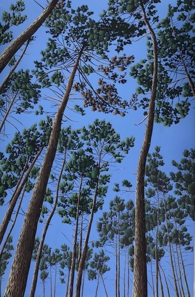 Ce tableau nous plonge dans une forêt de pins qui se déploie dans le ciel. Peinture d'Olivier Roustaing