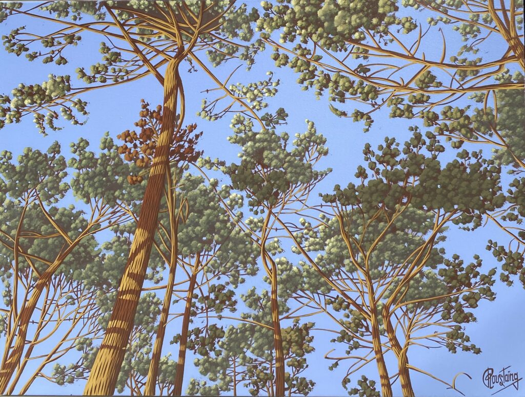 Ce tableau fait découvrir la cime des pins vus du sol, la lumière fait briller les arbres dans un grand ciel bleu. Peinture d'Olivier Roustaing