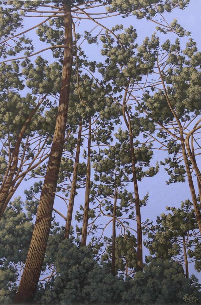 Ce tableau représente une forêt de pins très dense. Peinture d'Olivier Roustaing