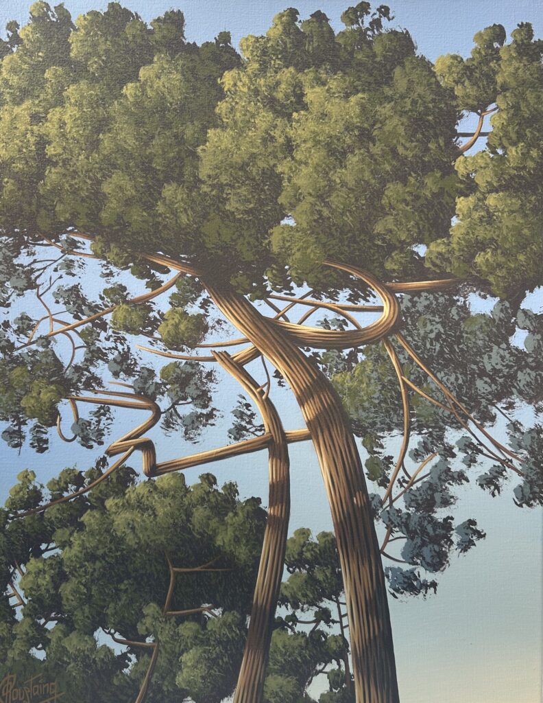 Ce tableau montre la beauté de l'enlacement des branches d'un pin le soir à l'heure doré. Peinture d'Olivier Roustaing