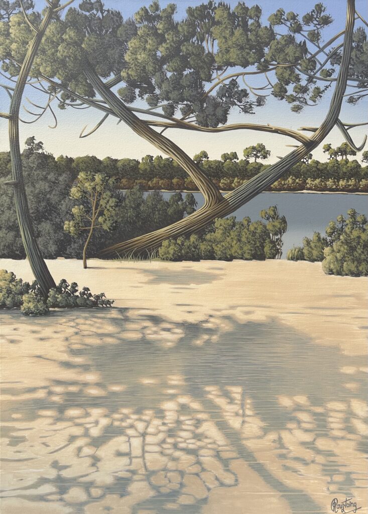 Ce tableau est centré sur le jeux des ombres des pins portées au sol. Peinture d'Olivier Roustaing