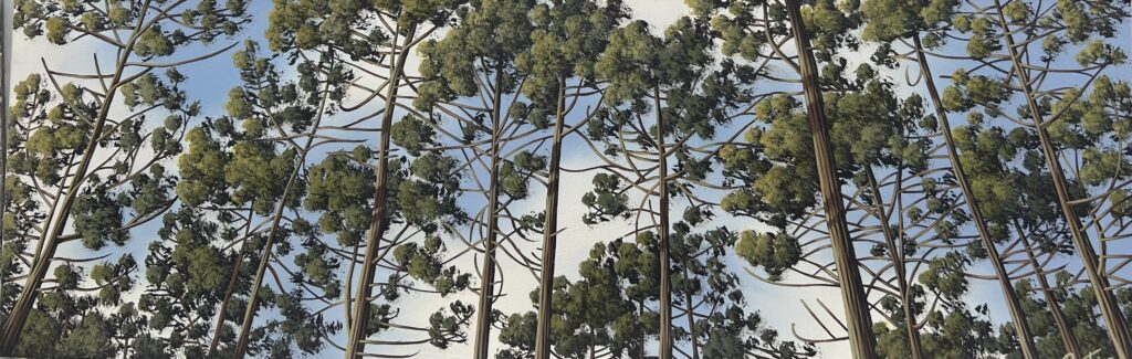 Ce tableau représente une vue panoramique de pins en contre plongée. Peinture d'Olivier Roustaing