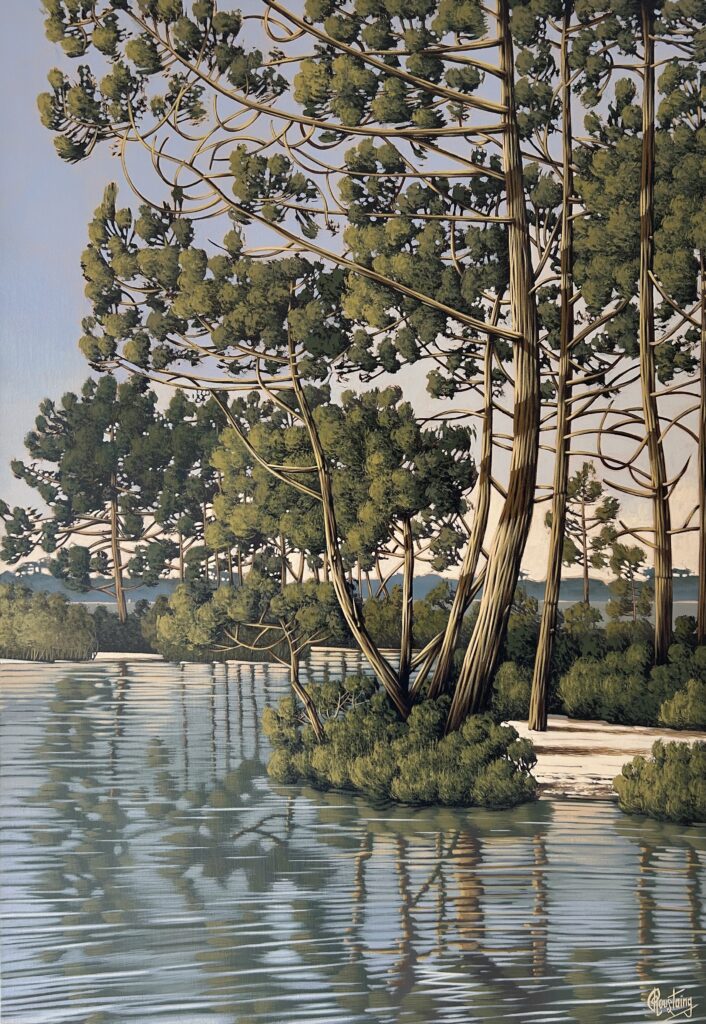 Ce tableau représente une petite plage de pins. il y a un beau travail sur la forme des arbres qui se reflète dans l'eau du lac. Peinture d'Olivier Roustaing